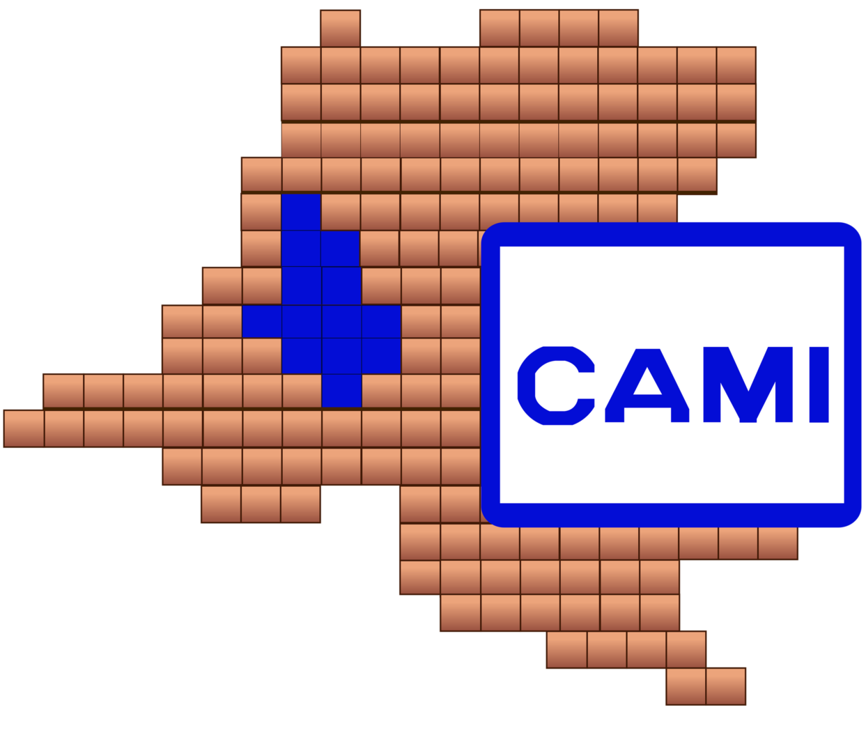 CAMI
